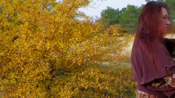 Mujer de mediana edad dibujando un cuadro en Plein Air — Vídeos de Stock