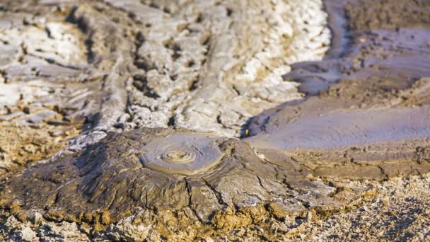 Small Mud Volcano Bubbling. — Stock Video