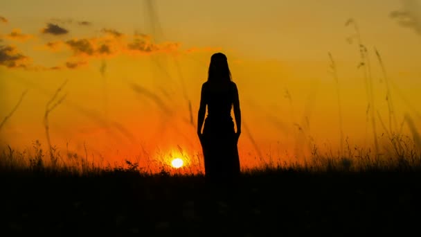 Sziluett egy fiatal nő gyakorló jóga naplementekor — Stock videók