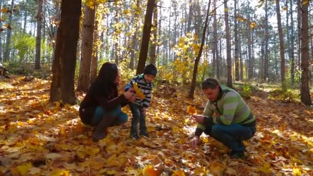 Young Family With A Child Picking Up Yellow Leaves In Autumn Park — Αρχείο Βίντεο