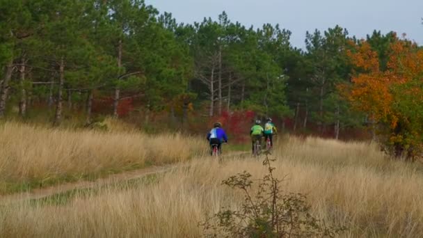 Tři cyklisté Jezdi v podzimní lesích — Stock video