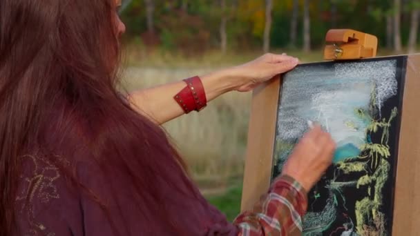 Mujer con el pelo castaño largo dibujando una imagen en Plein Air — Vídeos de Stock