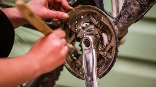 Joven chica limpieza bicicleta cadena con cepillo — Vídeos de Stock