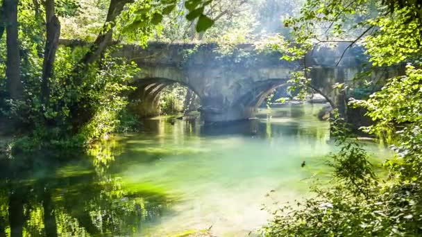 Puente viejo en el bosque verde con el río que fluye — Vídeos de Stock