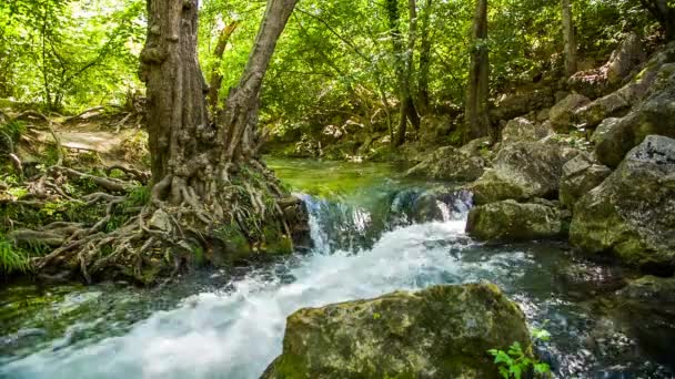 Rapid berg rivier stroomt tussen rotsen In Green Forest — Stockvideo