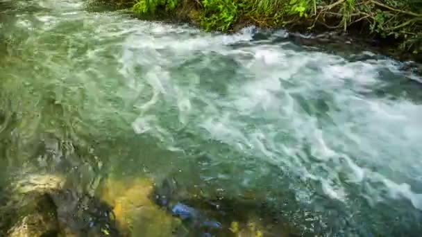 Água borbulhante do vapor da montanha que flui para baixo — Vídeo de Stock