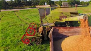 Havadan görünümü. Tahıl Mısır traktör römork yükleme
