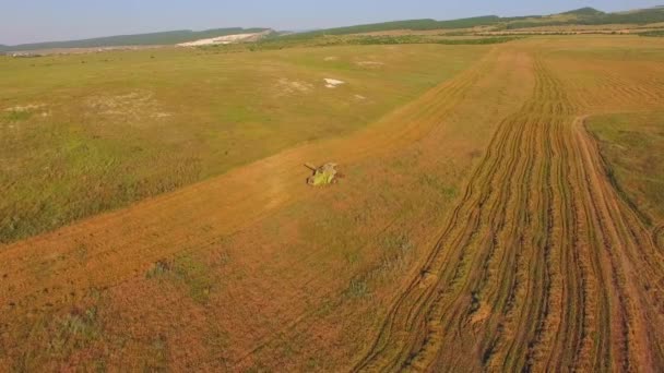 Luchtfoto. De mechanische rooier oogsten gewassen. — Stockvideo