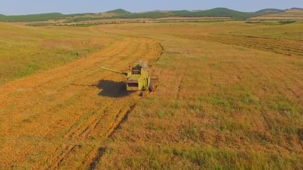 空撮。小規模農家。古い組み合わせる収穫. — ストック動画