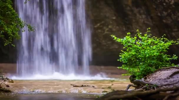 Bela cachoeira caindo na floresta — Vídeo de Stock