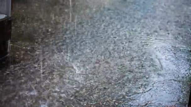 Drops Of Torrential Rain Falling Againt Asphalt Surface — Stock Video