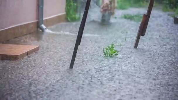 Meisje loopt in enorme plassen in werf op stortregens — Stockvideo
