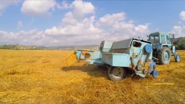 Trekker Baler (Aurora) maken van verse Bale tijdens oogsten — Stockvideo