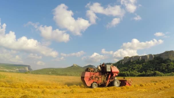 Combine Mowing Grains At Picturesque Place — Stock Video