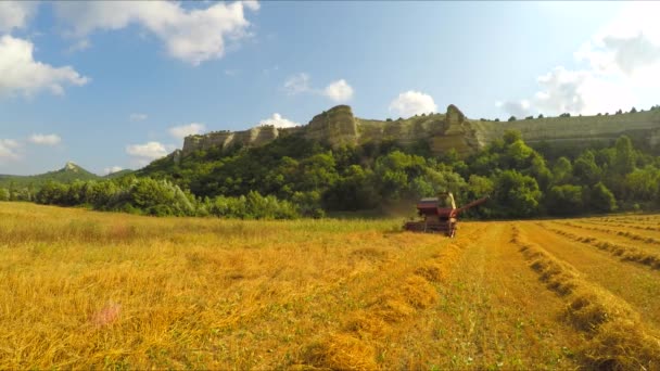 Mähdrescher erntet Getreide an malerischem Ort — Stockvideo