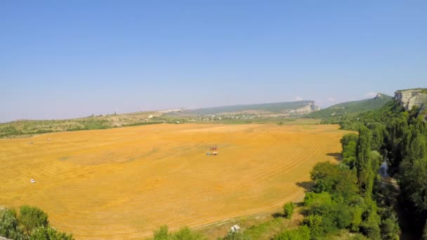 Campo dourado com máquinas agrícolas — Vídeo de Stock