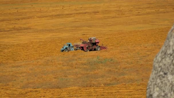 Gabungan Traktor Pengisian Dengan Grain pada Field — Stok Video