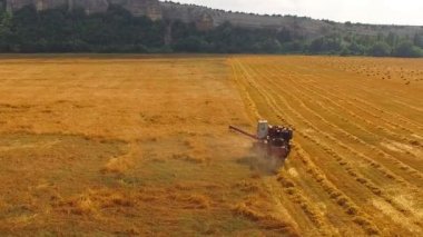 Buğday alanında çalışan birleştirme hasat