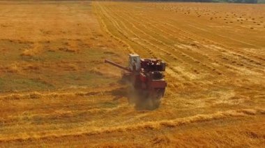 Buğday Tarlasında Hasat Birleşimi Çalışıyor