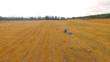 Traktör balya saman balya anız alanında yapma