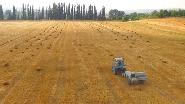 Baler de tractor rural de pie en el campo amarillo Stubble — Vídeos de Stock