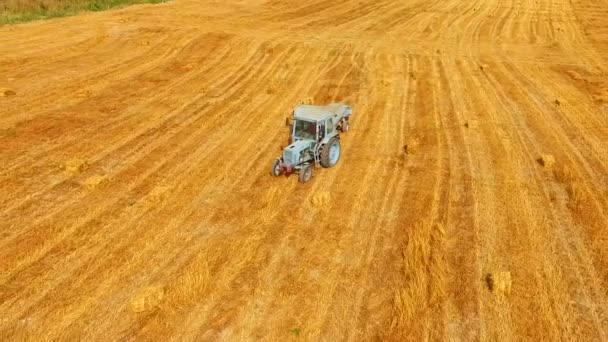 Traktor Baler rör sig över gula stubb fält — Stockvideo