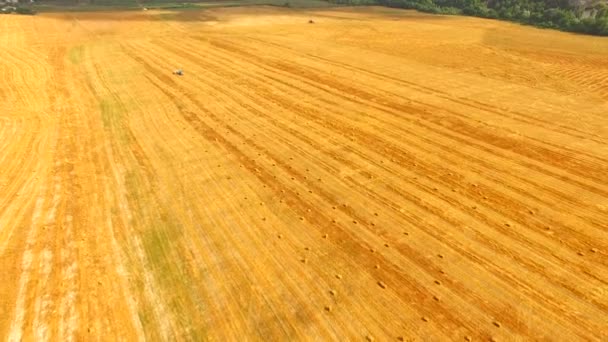 Bright Yellow Stubble Field At Picturesque Terrain — Stock Video