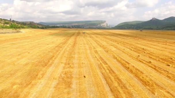 Golden Stubble Field At Picturesque Terrain — Stock Video