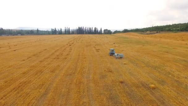 Трактор підбирача робить тюки сіна в солому поля — стокове відео