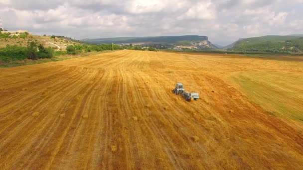 Tractor Baler Collecting Straw In Stubble Field — Stock Video