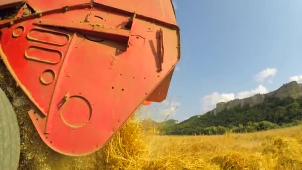 Fresco heno segado cayendo fuera de la combinación — Vídeo de stock