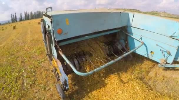 Tractor remolque recoger heno dejado por combinar en Stubble Field — Vídeo de stock