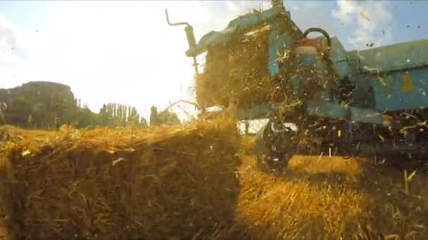Rimorchio del trattore che fa balle di fieno — Video Stock