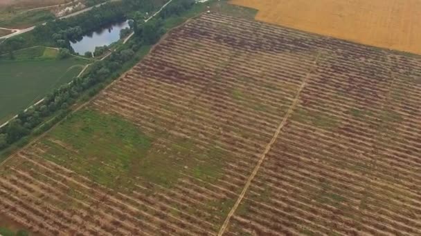 Сельскохозяйственные поля в красивой местности Хилли Глаз птиц — стоковое видео