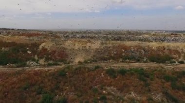 Ukrayna'da büyük şehir atık üzerinde uçan kuşlar dökümü