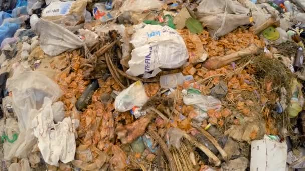 Heap enorme de lixo doméstico com ossos em aterro na Ucrânia — Vídeo de Stock