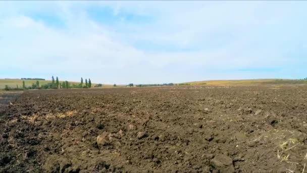 Aratro campo agricolo prima di seminare — Video Stock