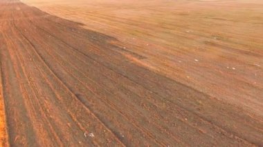 Anız alanının havadan görünümü