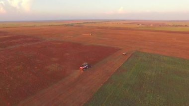 Altın sahasında hasat sırasında hareket birleştirmek