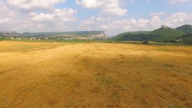 Altın sahasında çalışan hasat Birleştir