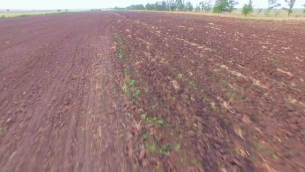 Plowed Agricultural Field At Daytime — Stock Video