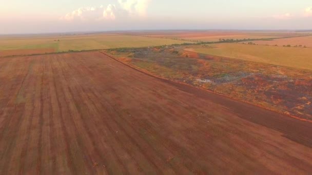 Aerial View Of Agricultural Fields — Stock Video