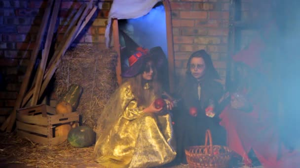 Petites filles en costumes d'Halloween effrayés — Video