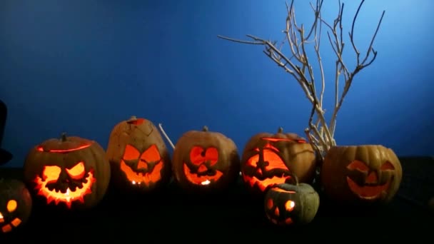Calabazas de halloween talladas — Vídeo de stock