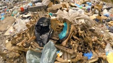 İskelet çöp dökümü Ukrayna arasında