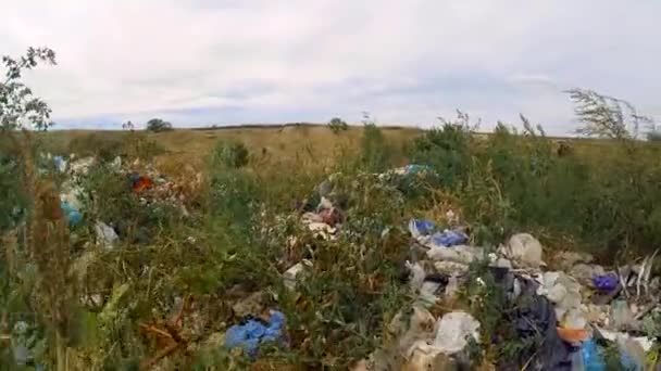 Riesige Midden im Gras außerhalb der Stadt — Stockvideo