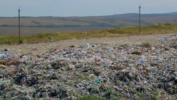 Pile d'ordures ménagères à Urban Dump — Video