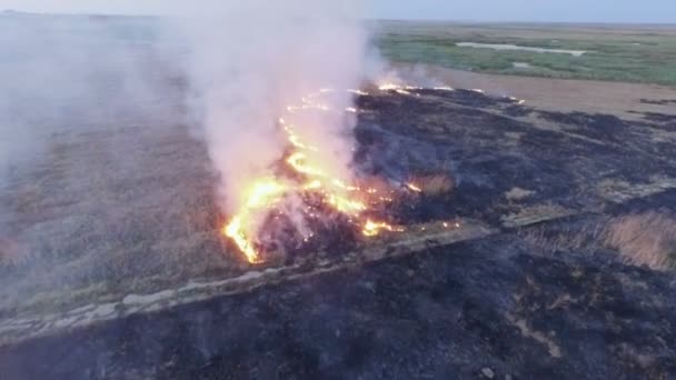 VUE AÉRIENNE. Herbe sèche brûlant en steppe 