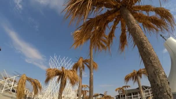 Palme e costruzioni metalliche a Befooz, Crimea — Video Stock