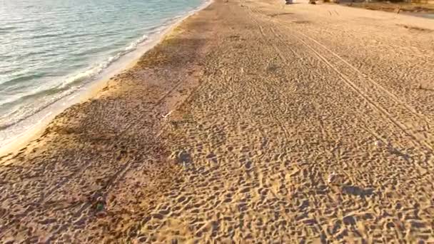 Luchtfoto. Meeuwen vliegen Over Sandy Beach — Stockvideo